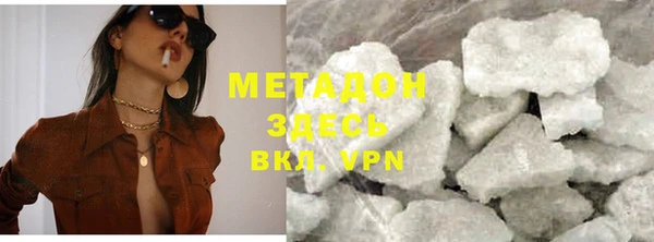прущие грибы Белокуриха