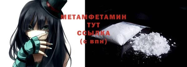 прущие грибы Белокуриха