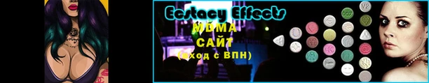 прущие грибы Белокуриха