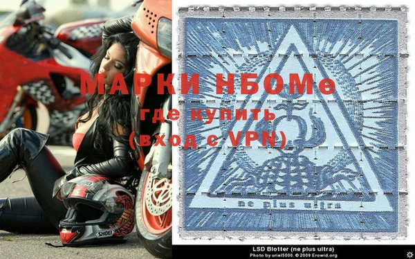 прущие грибы Белокуриха