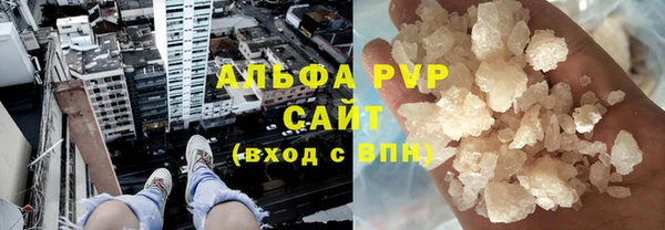 прущие грибы Белокуриха