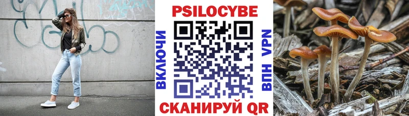 Псилоцибиновые грибы Psilocybe  Пестово 